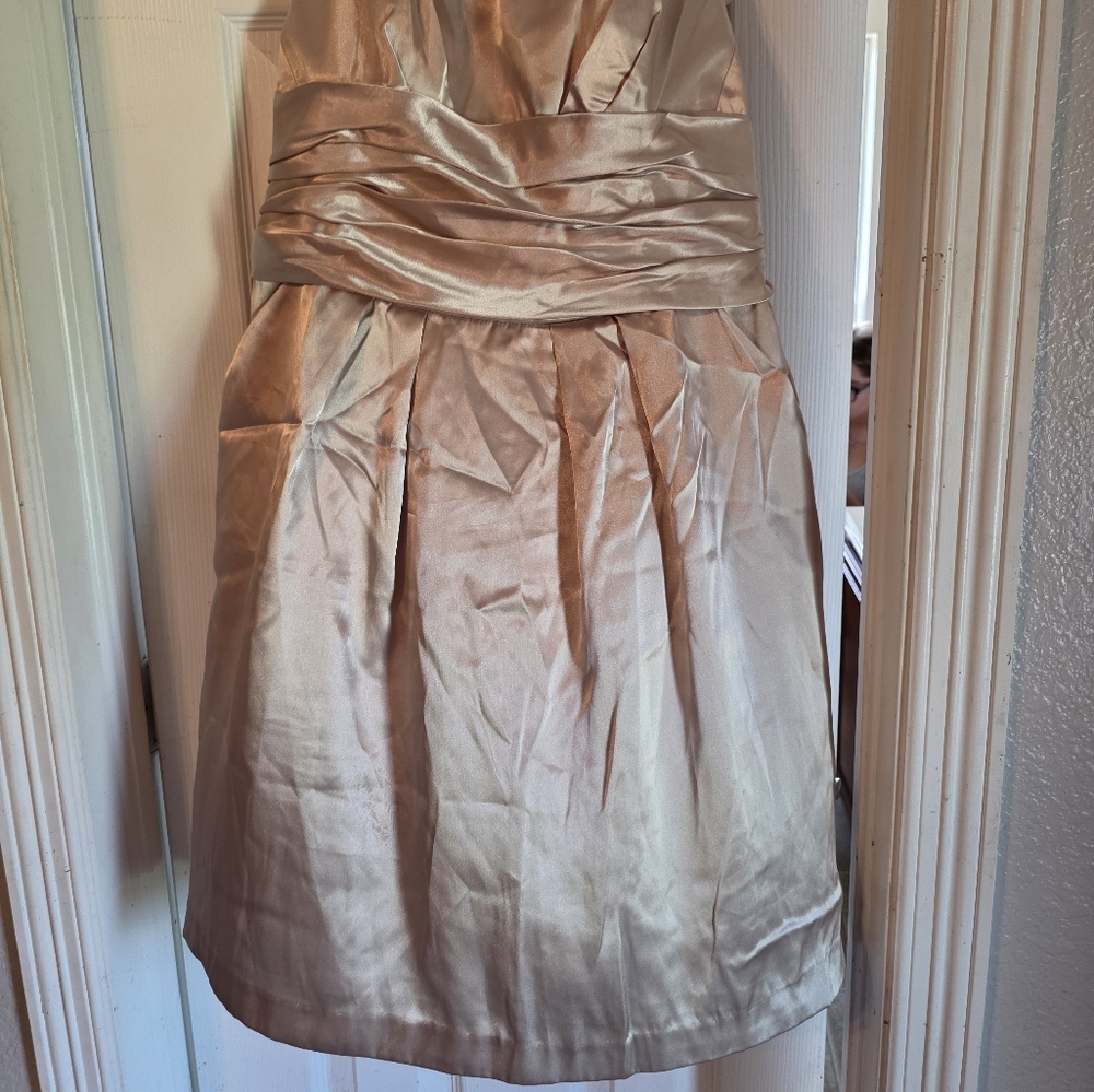 David's Bridal Strapless Dress in Champagne